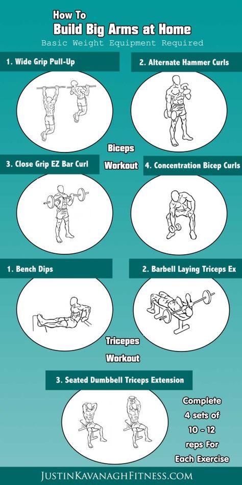 How to Build Big Arms at Home http://www.justinkavanaghfitness.com/how-to-build-big-arms-at-home/ Forearm Workouts, Forearm Workout At Home, Biceps Workout At Home, Big Arm Workout, Build Arm Muscle, Arms At Home, Arm Workout Men, Arm Workout Routine, Triceps Exercises