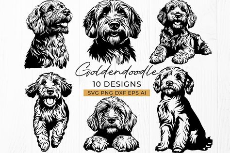 Dog Cuts, Goldendoodle, Dog Lovers, Drawing And Illustration, Halloween Shopping, Digital Drawing, I Shop, Cricut, Drawing Illustrations