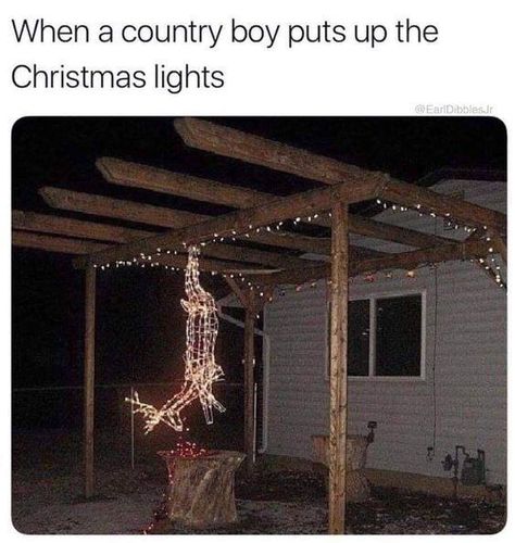 Funny Walmart Pictures, Walmart Pictures, Texas Christmas, Christmas Light Installation, Hanging Christmas Lights, Colonial Christmas, Memes Of The Day, Winter Diy, Christmas Love