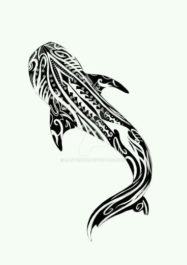 WHALE SHARK Shark Maori Tattoo, Shark Tattoo Polynesian, Maori Shark Tattoo, Whale Sharks Tattoo, Whale Shark Tattoo Ideas, Whale Shark Design, Shark Whale Tattoo, Whale Shark Tattoo Design, Whale Shark Drawing