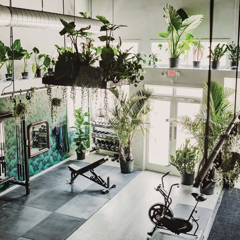 Thursday Good Morning, Norwegian Home, Victorian Greenhouses, Dream Home Gym, Good Morning Thursday, Kitchen Plants, Gym Interior, Interiors Inspiration, Gym Room