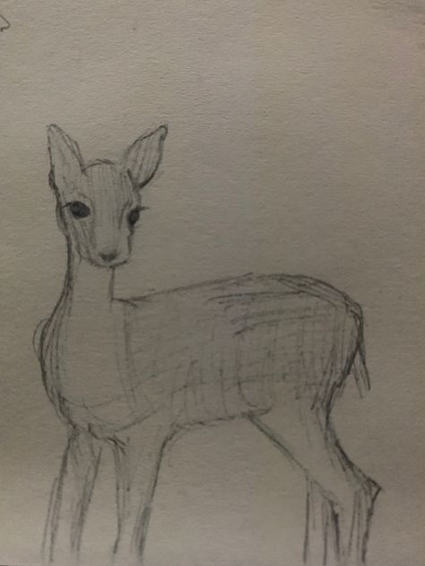 Dear Drawing Easy, Deer Doodle, Deer Drawing Easy, Deer In Headlights, Deer Sketch, Speed Draw, Deer Drawing, Draw Ideas, Sketchbook Drawings