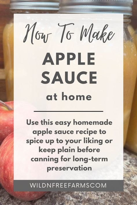 homemade applesauce Fall Canning, Homemade Applesauce Recipe, Homemade Applesauce Recipes, Applesauce Recipe, Apple Sauce Recipes, Diy Cooking, Homemade Applesauce, Fruit Preserves, Sourdough Recipes