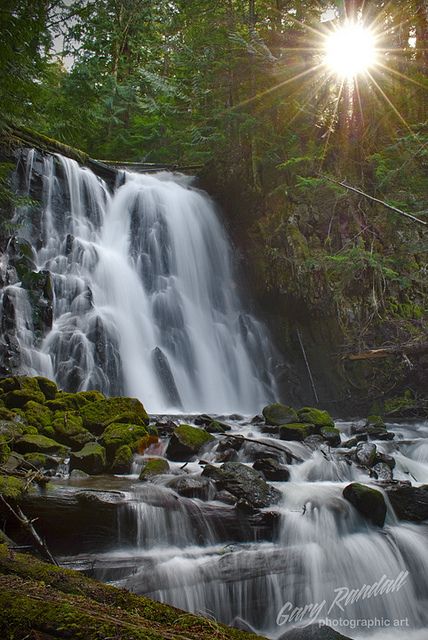 Fire Water Yocum Falls on Camp Creek near Government Camp, Oregon Oregon Waterfalls, Travel Outdoors, Oregon Travel, Alam Yang Indah, Beautiful Waterfalls, Nature Pictures, Nature Photos, The Great Outdoors, Beautiful Landscapes