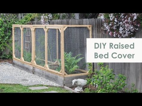 DIY Raised Garden Bed Cover | How to protect your vegetable garden from small animals - YouTube Fencing Around Raised Garden Beds, Raised Garden Bed Cover, Garden Bed Cover, Bed Enclosure, Diy Raised Garden Bed, Gemüseanbau In Kübeln, Garden Raised Beds, Diy Garden Bed, Vegetable Garden Raised Beds