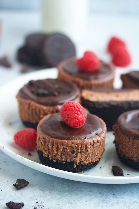 Mini Chocolate Cheesecakes – 5 Boys Baker Chocolate Holiday Desserts, Amazing Dessert Recipes, Mini Chocolate Cheesecakes, Creamy Chocolate Cheesecake, Cheesecake Layer, Chocolate Raspberry Cheesecake, Easy Holiday Desserts, Holiday Baking Recipes, Chocolate Cheesecake Recipes