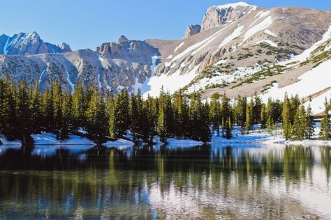 The Ultimate Guide to Great Basin National Park Nevada » Local Adventurer » Travel Adventures in NYC + World Wide National Park Photography, Great Basin National Park, Isle Royale National Park, Katmai National Park, Nevada Travel, Great Basin, Park Photography, Yosemite Valley, Park Ranger