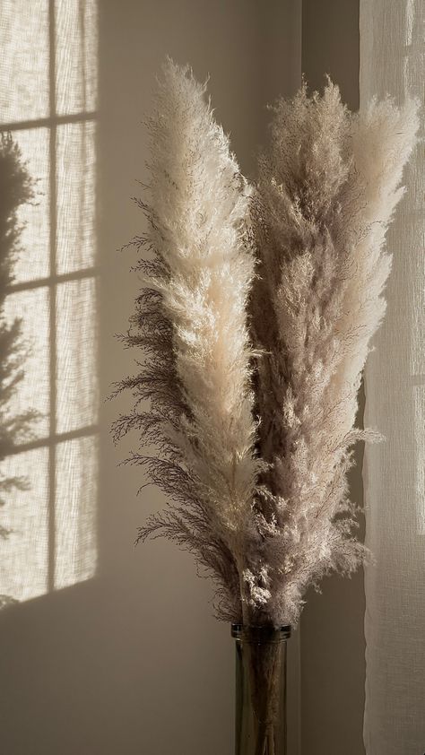 A Pampas Grass Wallpaper! Beige Flower Wallpaper, Pampas Grass Wallpaper, Pampas Wallpaper, Grass Wallpaper, Pampas Grass, Flower Wallpaper, Flowers