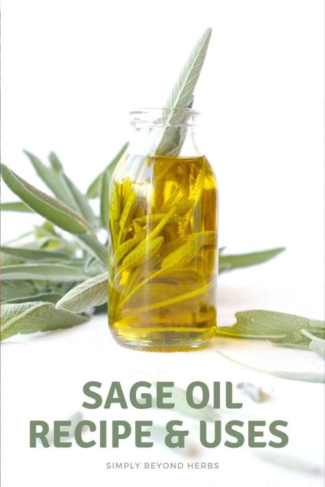 Herbal Oil Recipes, Infused Oil Recipes, Sage Benefits, Recipes For The Whole Family, Herbal Remedies Recipes, Medicinal Herbs Garden, Essential Oils Herbs, Healthy Herbs, Sage Oil