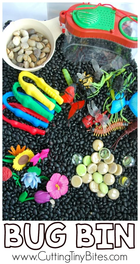 Insect Sensory Bin for Kids.  Great fun for a preschool bug theme unit! Insect Sensory Bin, Insect Sensory, Preschool Bug Theme, Preschool Bugs, April Preschool, Preschool Sensory, Bug Activities, Insect Unit, Preschool Spring