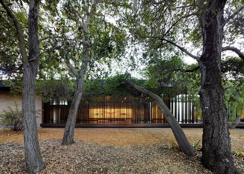 Aidlin Darling, International Interior Design, Rammed Earth Wall, Spiritual Retreat, Meditation Center, Interior Design Awards, Rammed Earth, Best Architects, American Architecture