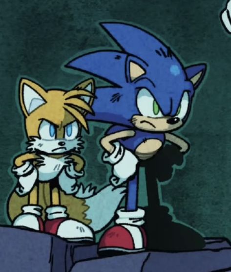 Sonic Idw, Sonic And Tails, Shadow Sonic, Sonic Funny, Sonic Fan Characters, Sonic 3, Blue Hedgehog, Sonic Franchise, Sonic Adventure