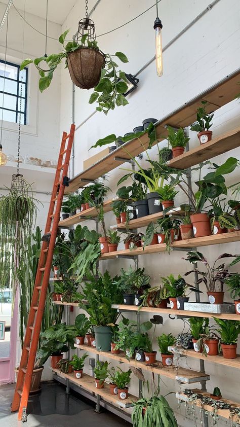 Plant Shop Shelves, Plant Shop Aesthetic Vintage, Plant Shop Cafe, Boutique Plant Shop, Plant Shop Interior Design, Aesthetic Plant Shop, Small Plant Shop Ideas, Corner Shop Aesthetic, Plant Shop Display