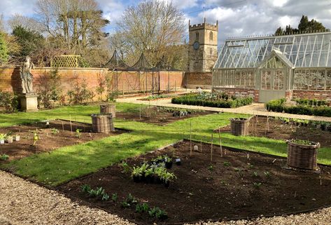 Formal Vegetable Garden, Kentucky Homestead, Garden With Greenhouse, Vegetable Farm, Mediterranean Garden Design, Walled Gardens, Garden Vegetable, Veggie Patch, Hobby Farm