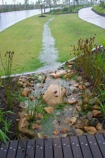 Bioswale Rain Garden Design, Garden Steps, Water Management, Rain Garden, Urban Landscape, Water Garden, Permaculture, Walkway, Urban Design