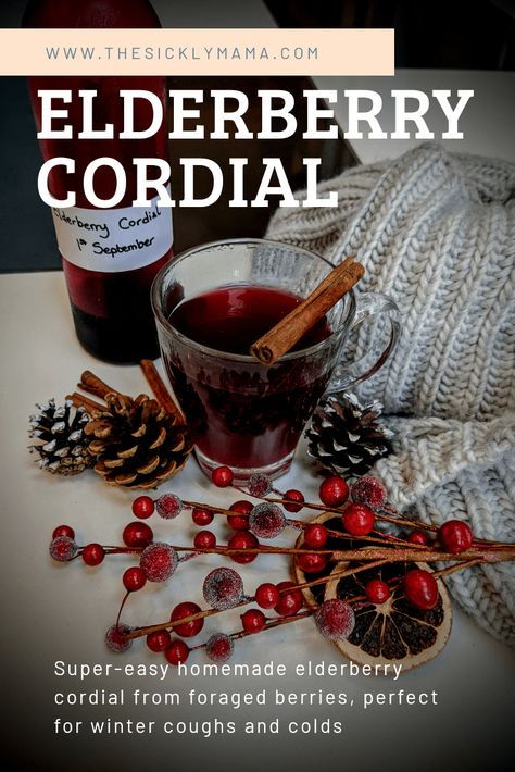 How To Make Elderberry Cordial - Foraging Recipe - The Sickly Mama Elderberry Cordial, Homemade Elderberry, Cordial Recipe, Elderflower Cordial, Foraging Recipes, Fire Cider, Gin Tasting, Elderberry Syrup, Winter Drinks