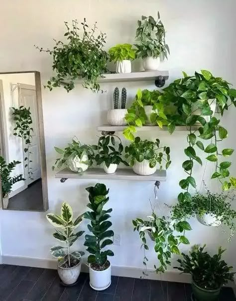 50+ Fabulous DIY Home Décor Ideas on a Budget - Dengarden Wall Plants Indoor, Living Wall Indoor, Indoor Plant Wall, Hanging Plant Wall, Fabulous Diy, Trailing Plants, Bathroom Plants, Plant Decor Indoor, House Plants Decor