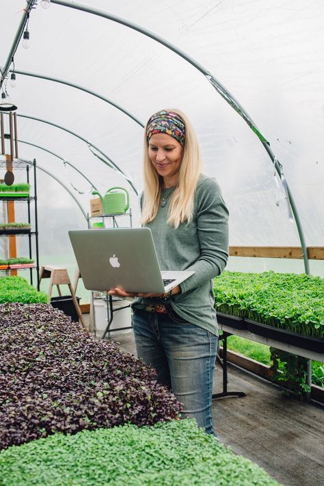 Make Money with Microgreens | Hand-Grown Greens Selling Microgreens, Microgreen Business, Microgreens Recipe, Greenhouse Farming, Micro Greens, Growing Microgreens, Green Queen, Green Business, Wheat Grass