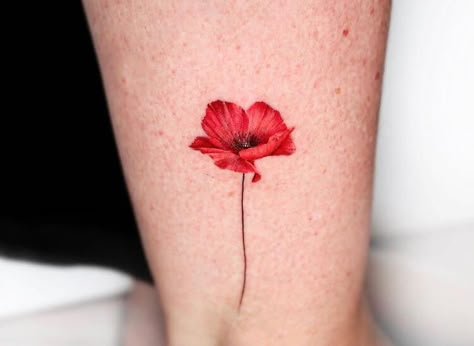 Micro Poppy Tattoo, Iceland Poppy Tattoo, Poppyseed Flower Tattoo, Poppy Color Tattoo, Realistic Poppy Tattoo, Fire Poppy Tattoo, Color Poppy Tattoo, Watercolour Poppy Tattoo, Delicate Poppy Tattoo