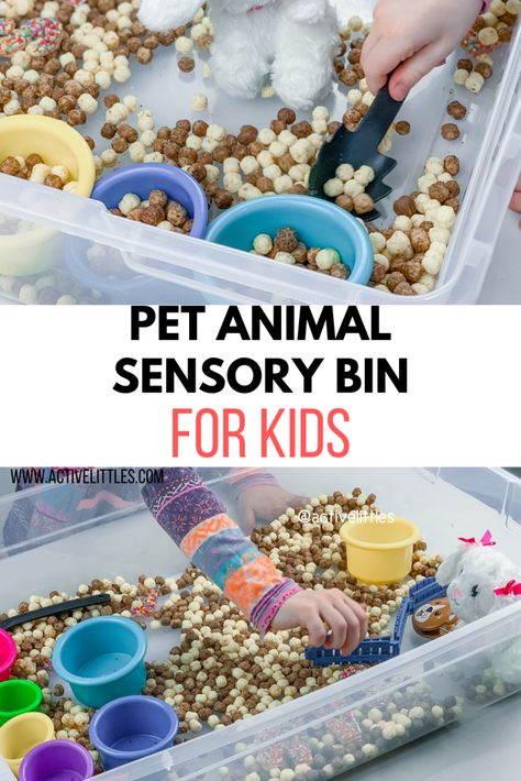 Pet Animal Sensory Bin for Kids - Active Littles Pet Sensory Bin Preschool, Pet Activities For Toddlers, Animal Sensory Bin, Preschool Pets Unit, Muffins Yogurt, Sensory Bin For Toddlers, Pet Study, Infant Sensory, Pet Activities