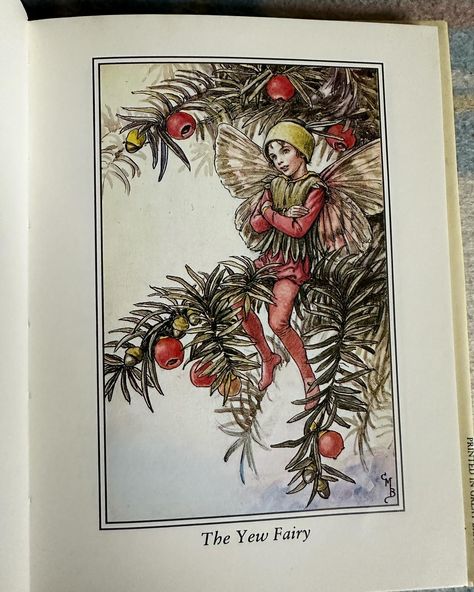 1990 Flower Fairies of The Winter by Cicely Mary Barker (Frederick Warne & Co Ltd) #booklovers #bookstagram #books #booknerd #bibliophile #bookstagramme #bookaholic #booklove #bookphotography #read #bookshelf #booktube #booksforsale #vintagebookshop #prettywords #writer #nowreading #bookworm #book #instabook #booksbooksbooks #igreads #bookclub #bookcommunity #library #bhfyp #childrensbooks #childrensbooksforsale #rarebooks #oldbooks #booksforsale Baker Illustration, Garden Journal Ideas, Fairy Poems, Cicely Mary Barker Flower Fairies, Cecily Mary Barker, Poems Art, Fairy Love, Fairytale Garden, Collage Moodboard