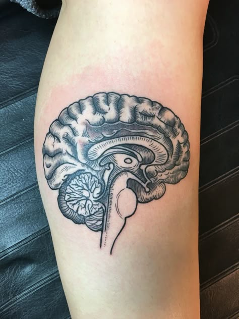 Anatomical Brain Tattoo - Done at Short North Tattoo in Columbus, OH Brain Anatomy Tattoo, Brain Tumour Tattoo Ideas, Solipsism Tattoo, Neurology Tattoo, Phrenology Tattoo, Anatomy Tattoo Sleeve, Anatomical Brain Tattoo, Tumor Tattoo, Brain Tattoo Psychology