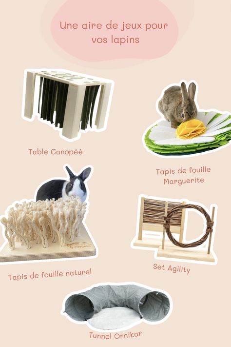 Les lapins dans la nature passent la plupart de leur temps à grignoter herbes et feuillages. Pour nos lapins dits "domestiques", il est important de les occuper. Voici donc une selection dans la boutique Rabbits World de jeux pour distraire vos lapins. Diy Pour Lapin, Bunny Enrichment, Bunny Sheds, Rabbit Enrichment, Diy Bunny Toys, Bunny Care Tips, Bunny Supplies, Funny Bunny Videos, Pet Rabbit Care