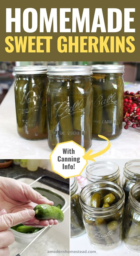 My mom finally shared her recipe for the ultimate homemade sweet gherkin pickles! These little pickles are perfect for snacking or adding to chicken salad! Canning Sweet Gherkin Pickles, Sweet Pickle Canning Recipe, Sweet Gherkins Pickles Recipes, Canned Sweet Pickles, Canning Whole Sweet Pickles, Homemade Sweet Pickles Recipe, How To Make Sweet Pickles, Sweet Pickles Canning Recipes, Sweet Pickle Recipes Canning