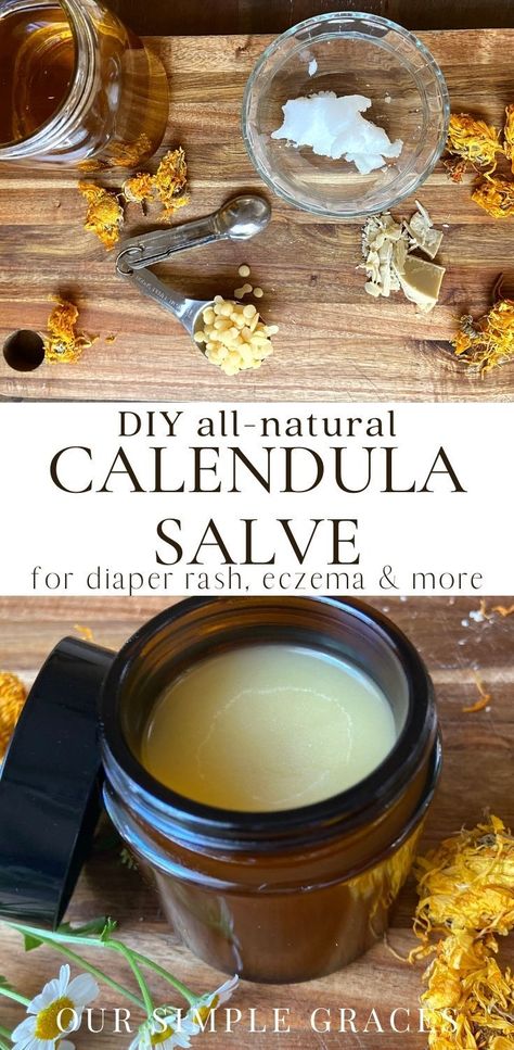 Calendula Balm, Healing Salve Recipe, Calendula Salve, Calendula Cream, Calendula Benefits, Salve Recipes, Herbs Garden, Herbal Salves, Healing Remedies