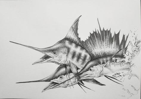 pencil drawing. Sailfish and marlins Sailfish Tattoo, Marlin Drawing, Marlin Tattoo, Water Tattoo, Fish Artwork, Blue Marlin, Arm Tattoos, Ink Blue, Bird Drawings