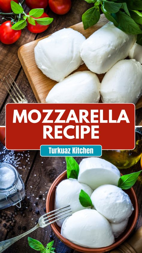 Turkuaz Kitchen Mozzarella Recipe Turkuaz Kitchen Recipes, Fresh Mozzarella Recipe, Homemade Mozzarella Cheese, Recipes With Mozzarella Cheese, Mozzarella Recipe, Homemade Mozzarella, Mozzarella Recipes, Garlic Cheese Bread, Amish Recipes