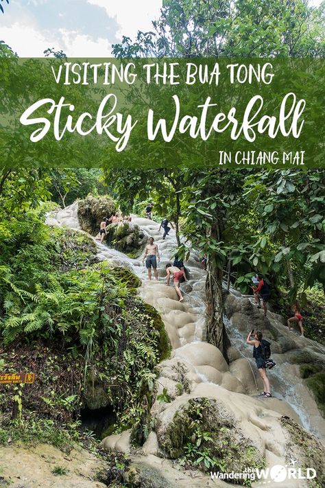 Climb a waterfall on your bare feet in Chiang Mai, Thailand! Click here for more info on how to visit the Bua Tong Sticky Waterfall in Chiang Mai - Wandering the World - #stickywaterfall #chiangmai #thailand Vietnam Backpacking, Backpacking South America, Thailand Adventure, Thailand Vacation, Thailand Backpacking, Thailand Travel Tips, Thailand Travel Guide, Backpacking Asia, Visit Thailand