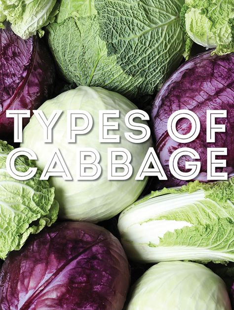 Whether you are looking to munch or to make kimchi, in this post we will cover 23 types of cabbage that can be used for cooking, eating, or fermenting! From A to Z, we will guide you through the origin, flavor, and uses of all different kinds of cabbage. Make Kimchi, Cabbage Varieties, Types Of Cabbage, Choy Sum, Savoy Cabbage, Meatless Main Dishes, Stomach Problems, Cabbage Leaves, Chinese Cabbage