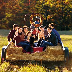 Fall With Friends, Hay Ride, Haunted Hayride, Harvest Party, Fall Fest, Fall Bucket List, Hay Bales, Fall Party, Fall Favorites