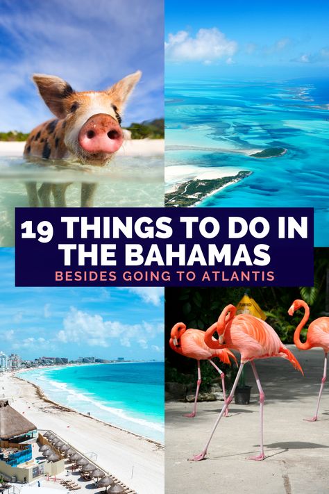 Freeport Bahamas Things To Do, Snorkeling In Bahamas, Grand Bahamas Island, Princess Cays Bahamas Things To Do, Nassau Bahamas Itinerary, Things To Do In Bahamas Nassau, Nassau Bahamas Atlantis, Margaritaville Nassau Bahamas, Bahamas Things To Do