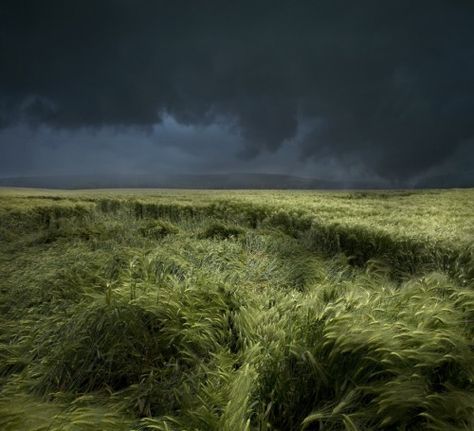 Rain by Franz Schumacher Asphodel Meadows, West America, Travelling Abroad, God's Eye, Rain Art, Stormy Sky, Wheat Field, Stormy Weather, Italy Photo