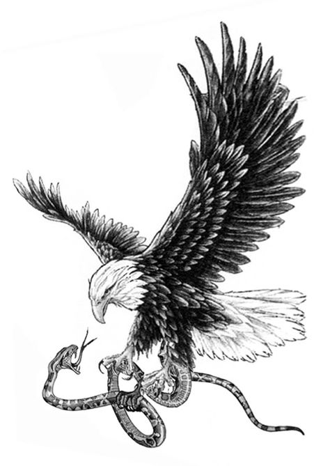 Love the black and white, I don't like the snake though, instead an eagle holding something else. Eagle Carrying Snake Tattoo, Serpent Eagle Tattoo, Eagle Catching Snake Tattoo, Eagle Eating Snake Tattoo, Snake Tattoo On Ribs, Egale Drawing Tattoo, Wildlife Tattoos For Men, Snake Eagle Tattoo, South America Tattoo