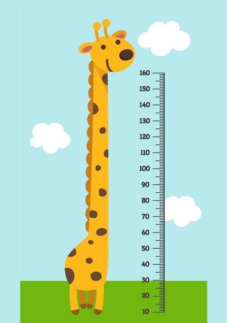 School Wall Art Ideas, School Wall Decoration, School Wall Painting, Measuring Height, Preschool Designs, Giraffe Illustration, School Wall Art, School Murals, School Cartoon