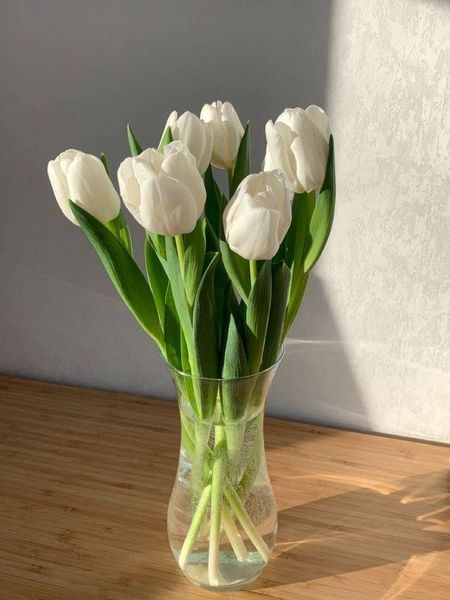 White Tulips In Vase, Reflection Painting, Tulips In Vase, Flower Meanings, Flower Video, Framed Wallpaper, Flower Therapy, White Tulips, 15th Birthday