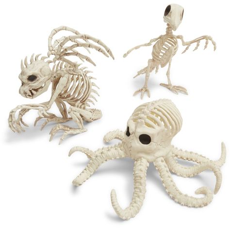 Huge Skeleton Decor, Halloween Skeleton Animals, Small Animal Skeleton, Sanrio Skeleton Figures, Sea Creature Skeleton, Halloween Raven, Animal Skeletons, Skeleton Decorations, Halloween Animals