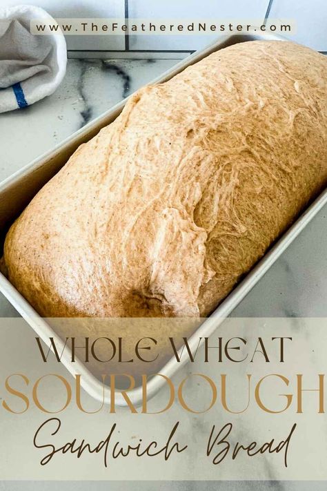 Whole Wheat Sourdough Sandwich Bread | This easy recipe uses a ready-to-go sourdough starter and King Arthur whole wheat flour for a slightly tangy, perfectly sweet and fluffy loaf every time. Prepare the dough in the evening and let it rest overnight before baking; with very little effort (but a bit of patience) you will be enjoying the best tender, sliceable, favorite toppings-worthy sandwich bread made with healthier whole wheat. Sourdough With Whole Wheat Flour, Whole Wheat Sourdough Bread Starter, White Whole Wheat Sourdough Bread, Fastest Sourdough Bread, Sour Dough Sandwich Bread Recipe, Half Whole Wheat Bread Recipe, Whole Grain Sourdough Sandwich Bread, While Wheat Sourdough, Sourdough Sandwich Bread All Purpose Flour