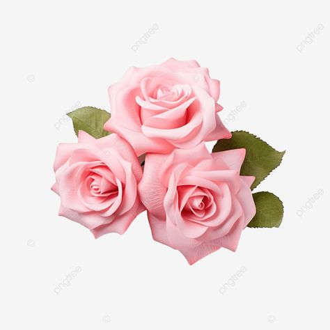 pink rose decoration Pink Rose Png, Rose Png, Rosé Png, Transparent Image, Rose Decor, Png Transparent, Rose Pink, Free Png, Png Image