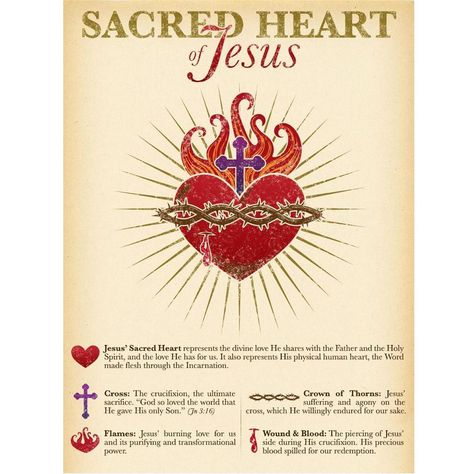 Sacred Heart Devotion, Sacred Heart Art, Christian Illustration, Jesus Sacrifice, The Sacred Heart Of Jesus, Immaculate Heart Of Mary, Heart Of Mary, Immaculate Heart, The Sacred Heart