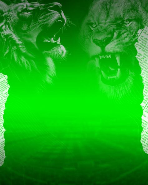 Lion Editing Background, Background Images For Editing Green, Bonalu Background For Editing, Fogo Gif, Cover Design Inspiration, Church Backgrounds, Lions Photos, Album Frames, Heaven Art