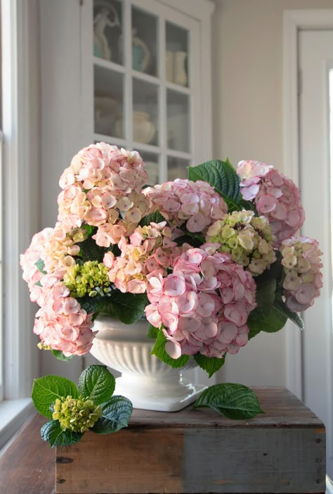 Hydrangea Birthday Party, Pink Hydrangea Centerpieces, Erica Core, Pink Hydrangea Bouquet, Pink Hydrangea Wedding, Faux Plant Decor, Hydrangeas Bouquet, Floral Shoot, Summer Hydrangea