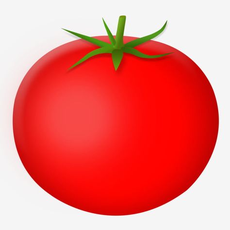 Tomato Png, Tomato Vector, Healthy Vegetable Salad, Vegetable Cartoon, Learning Support, Vector Food, Red Tomato, Food Backgrounds, Healthy Vegetables