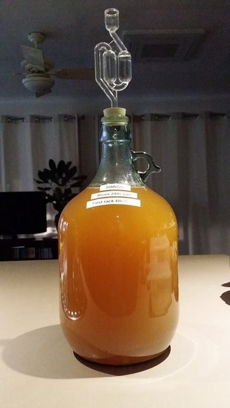 If you're looking to make a mango wine this is the recipe for you. It uses fresh fruit and does not call for sulfites. Check it out! Making Mead, Mango Wine, Mead Recipes, Homemade Booze, Home Made Wine, Wine Making Recipes, Homemade Wine Recipes, How To Make Mead, Mead Recipe