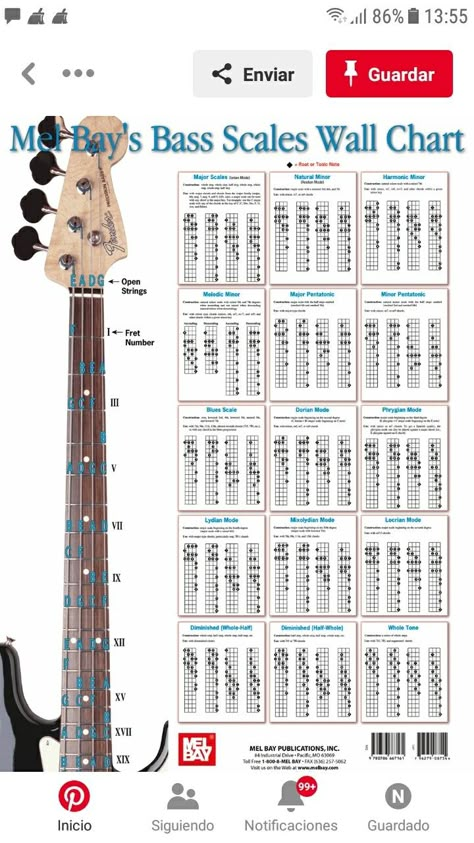 Bass Guitar Scales Chart, Bass Tabs Songs, Guitar Scales Charts, Tabs Guitar, Bass Guitar Scales, Bass Guitar Notes, Learn Bass Guitar, Guitar Chords And Scales, Bass Guitar Chords