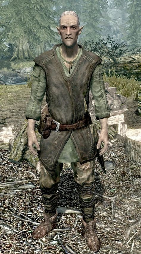 Skyrim Bosmer, Big Lizard, Garbage Dump, Chopping Wood, Hello My Friend, The Apprentice, Elder Scrolls Skyrim, Fantasy Authors, Elder Scrolls