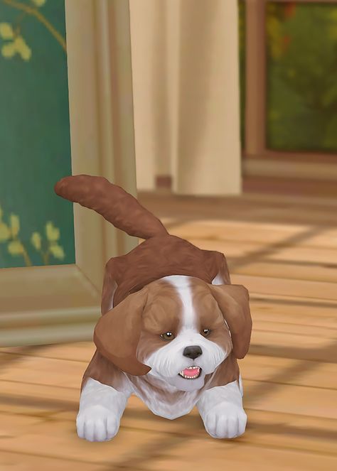 Sims 4 Pets For Adoption, Sims 4 Dog Overlay, Sims 4 Dog Skin Cc, Sims 4 Pets Patreon, Sims 4 Pet Skin Cc, Sims 4 Cc Dog Bed Patreon, Sims 4 Dog Download, Sims 4 Dog Cc Patreon, Sims 4 Cc Pets Dog